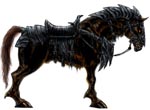 greyhound146